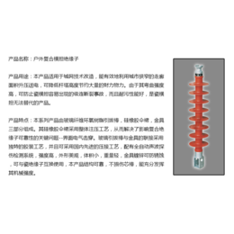 河间忠淼电力器材 复合横担绝缘子缩略图