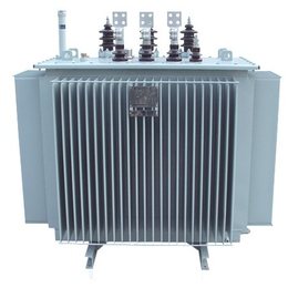 国普S11系列低损耗无励磁调压电力油浸变压器*