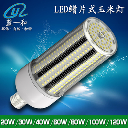 蓝一和新款LED鳍片式玉米灯套件IP65LED庭院玉米灯外壳