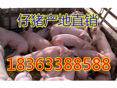 2345_image_file_copy_12_副本.jpg
