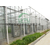 深圳绿浦玻璃温室 科研 种植温室 育苗温室 智能温控大棚缩略图2