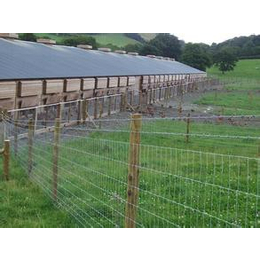 供应养殖场护栏网适用于多种方式养殖畜牧山区放牧等
