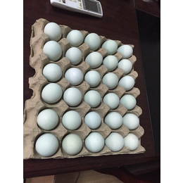 麦机蛋绿壳鸡蛋四川绿壳鸡蛋 德阳绿壳鸡蛋 成都绿壳鸡蛋