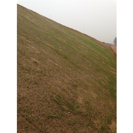 九江环保草毯,生态治理(已认证),公路两侧环保草毯