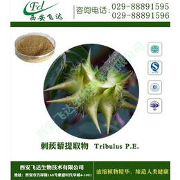 刺蒺藜_刺蒺藜提取物含量_飞达生物(多图)