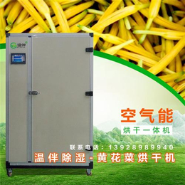 黄花菜烘干机、温伴节能热泵(在线咨询)、黄花菜烘干机设备