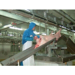 当阳市杀猪设备|南京沃特屠宰机械(在线咨询)|杀猪设备好用吗