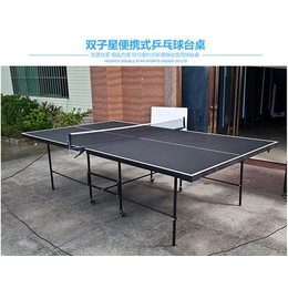 河北乒乓球台价格、双子星体育用品、室外乒乓球台价格