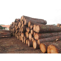 合肥建筑木料、建筑木料价格、旺鑫木业(多图)