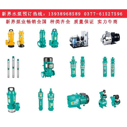潜水电泵、新界泵业、Q型干式潜水电泵