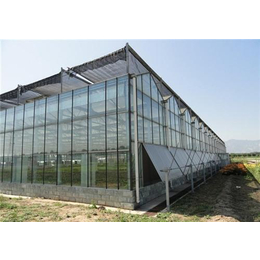 展示玻璃温室、漳州玻璃温室、芳诚玻璃温室