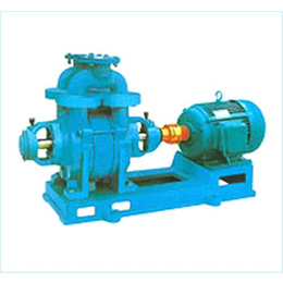 华泵真空泵(图)|水环式真空泵|东莞真空泵