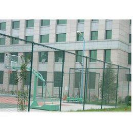 上海球场安全网_卓诺丝网_球场安全网报价