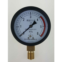 新款产品 普通膜盒压力表YE-100燃气压力表 