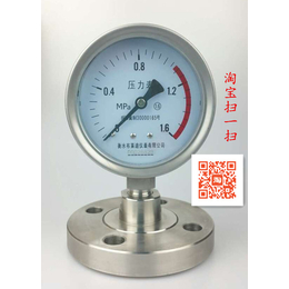 	 YTNP-100ML不锈钢耐震隔膜压力表 法兰式耐高温