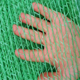 盖土网绿色盖土网黑色盖土网两针盖土网厂家