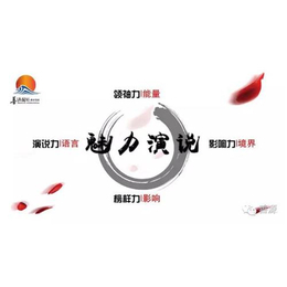 魅力演说|善言企业管理咨询(****商家)|魅力演说好吗