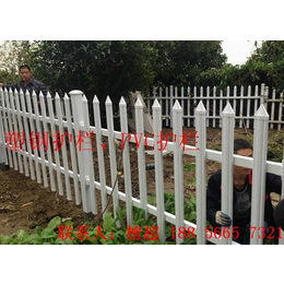PVC塑钢护栏PVC绿化带护栏PVC草坪护栏PVC花坛栅栏