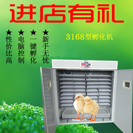  中型孵化设备孵化器全自动孵化机3168枚孵化箱家用孵化机