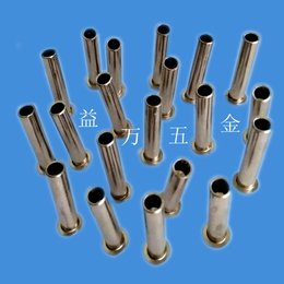 温州厂家*铁铆钉铜铆钉不锈钢铆钉多种规格品质保证*
