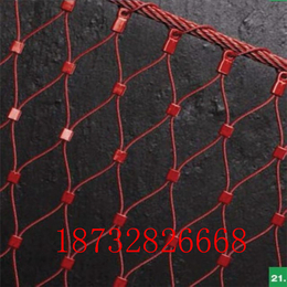 不锈钢绳网 钢丝绳网 动物园防护网 装饰网生产厂家