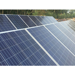 供应金路通250W太阳能光伏板 分布式光伏发电 绿色环保