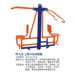 广西永福县健身器材双位坐推训练器 小区户外健身器材