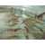 长沙虾霸9号对虾水产基地面向全国批发基围虾苗纯淡水养殖技术缩略图3
