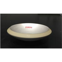“玉同电子”优立塑用大功率压电陶瓷聚焦换能片已批量制造