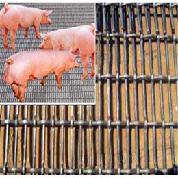 轧花养殖网养猪轧花网镀锌轧花网生产厂家
