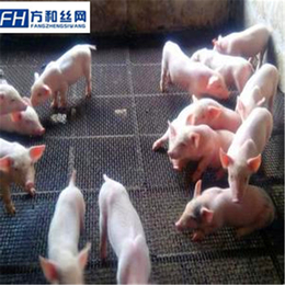 猪羊踏板网-猪羊漏粪网-畜牧养殖网厂家