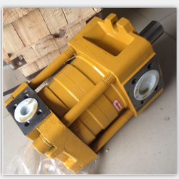 注塑机油泵NT4-D50F齿轮泵