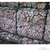 安平丰海(图)|雷诺护垫厂家|雷诺护垫缩略图1