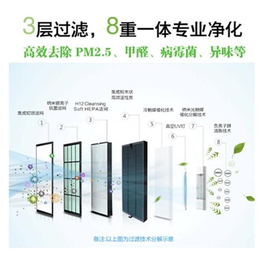 淄博新风系统,佛山启振(在线咨询),新风系统品牌