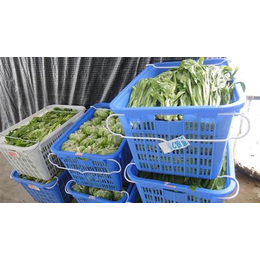 五山蔬菜配送|天河蔬菜配送价钱|天美和农产品(多图)