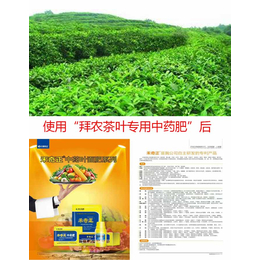 使用茶叶生物菌肥的效果|安徽生物菌肥|拜农中药叶面肥