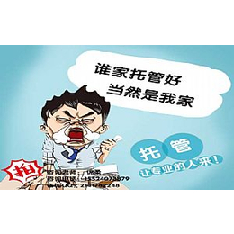 盘锦网店代运营