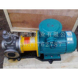 磁力泵圆弧磁力泵YCB圆弧磁力泵沧州永诚泵业厂家供货