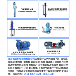 液下泵厂家,江苏长凯机械设备公司,成都液下泵