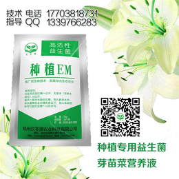 黄豆芽烂根问题用什么药能解决好