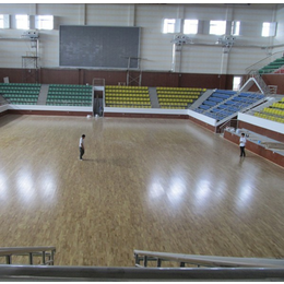 篮球****地板 设计 施工 团队 河北双鑫体育缩略图