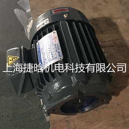 供应台湾群策C01-43B0内插式1HP-4P油泵*电机