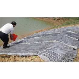 河道边坡护坡草毯、鑫宇土工材料(在线咨询)、郴州草毯