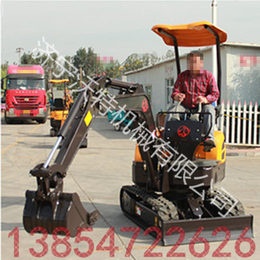 小型汽油小挖机 品质保证座驾式挖掘机 低价供应挖土机