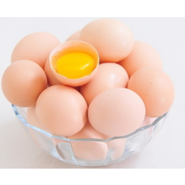 食品检测机构中检联检测鸡蛋氯*检蛋制品检测缩略图