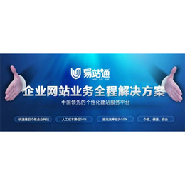 网络推广平台|哪家网络推广好唯真科技|临沂网络推广