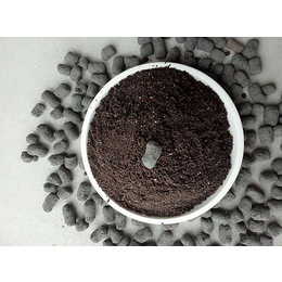 陶粒制作工艺|圣瑞龙祥(在线咨询)|从化陶粒