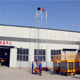 济南金川升降机厂家 小型升降平台 套缸式升降机 高空作业