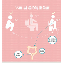 辽宁马桶踏凳哪家好、迅驰高科、智能马桶踏凳哪家好