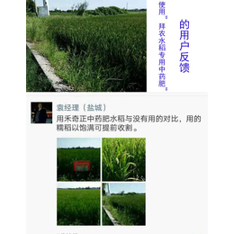 水稻生物*有哪些,鹰潭生物*,拜农生物科技(查看)